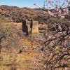 Torre de alquería. Fotografía de noes_87