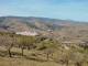 <h4>Panorámica de Alcudia de Monteagud. Fotografía de Senderos Almeria</h4><p>Panorámica de Alcudia de Monteagud. Fotografía de Senderos Almeria</p><p>Alcudia de Monteagud</p><p>27/09/2020</p>
