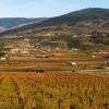 Paisaje de Alcolea. Fotografía de Nicolás_B
