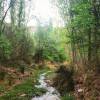 Río Almanzora a su paso por Alcóntar. Fotografía de lauuhd