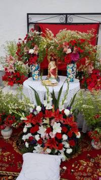 Corpus Christi. Fotografía de Alcontar Actualidad