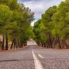 Carretera del Ricaveral. Fotografía de javims_fotos