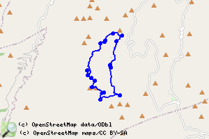 Sendero de las Encinas Milenarias de Serón (PR-A 319) 