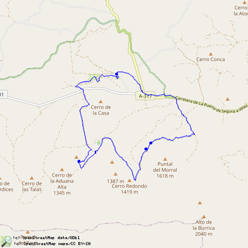 Pinar de la Alfahuara (SL-A-145) 