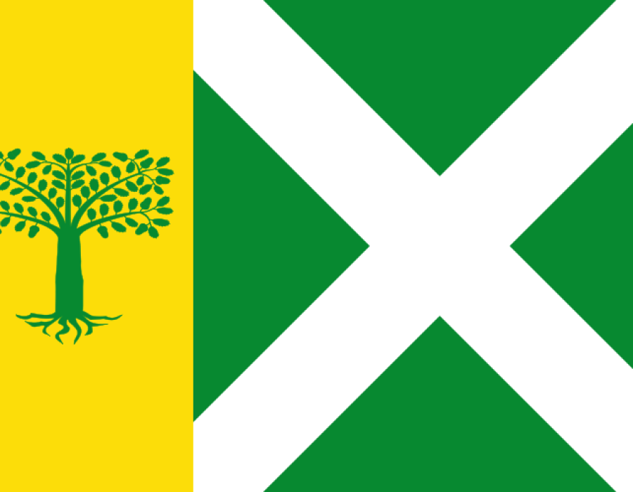 bandera_turrillas.png